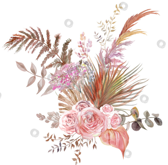 Скачать Акварельный букет с розой, пальмовыми листьями и тропическими сухоцветами фотосток Ozero