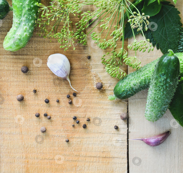 Скачать свежие огурцы на деревянном столе рядом с чесноком, семенами укропа и перцовыми приправами фотосток Ozero
