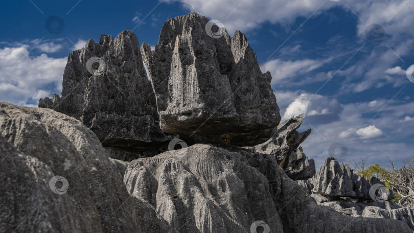 Скачать Причудливая черная скала с острыми вершинами фотосток Ozero