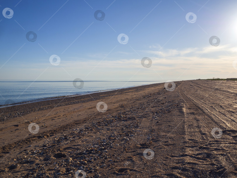Скачать Пустынный пляж в солнечный летний день. Живописный вид на залитый солнцем песчано-ракушечный пляж под голубым небом с легкими облаками фотосток Ozero