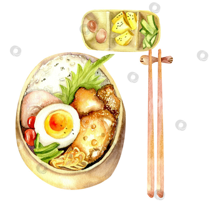Скачать Традиционный японский набор "акварельный луч": бенто с курицей, рисом и яйцом, тарелка с огурцом, яйцами и тофу фотосток Ozero