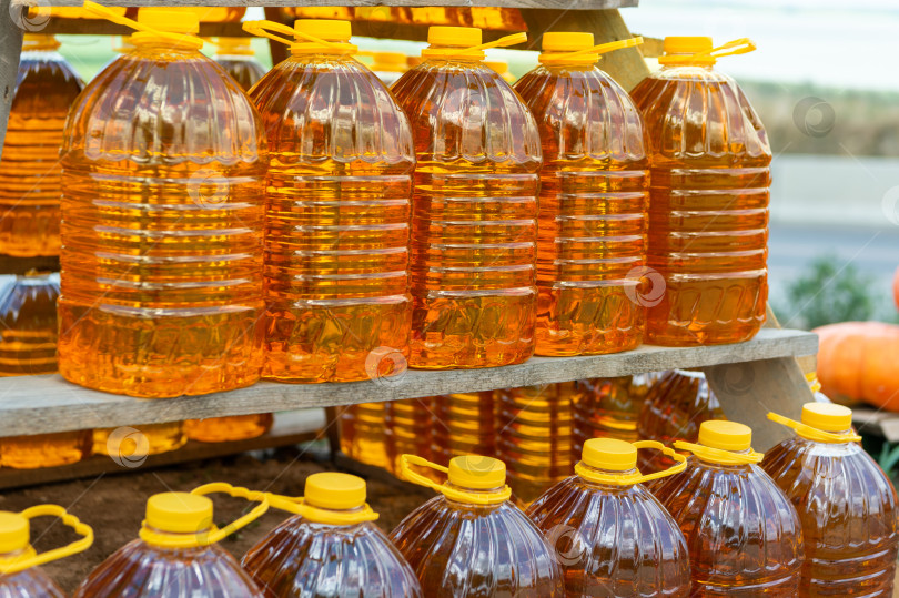 Скачать Ряд бутылок со свежим подсолнечным маслом на фермерском рынке. Продажа натурального растительного или пальмового масла, кризис дефицита подсолнечного масла. фотосток Ozero