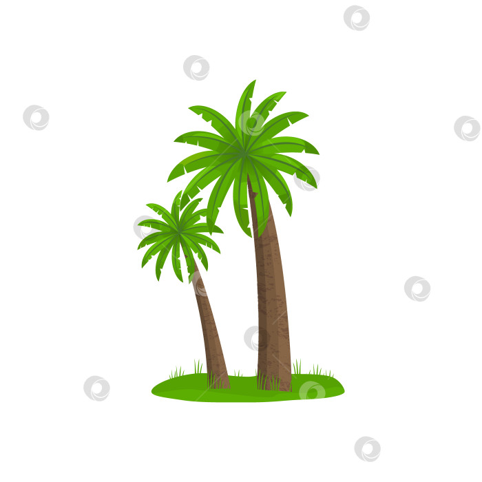 Скачать Логотип или иконка простой кокосовой пальмы для туристического агентства или летних товаров, туристической брошюры, баннера. фотосток Ozero
