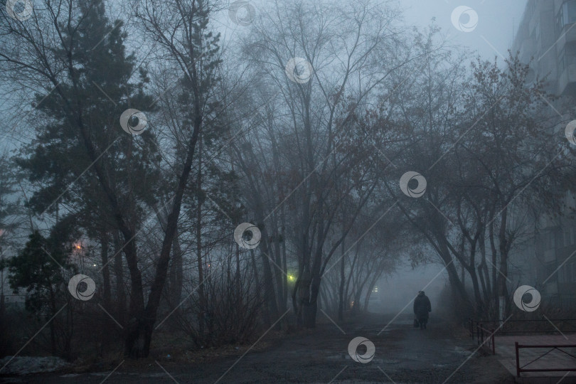 Скачать Туман фотосток Ozero