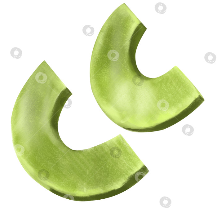Скачать Акварельные кусочки авокадо, нарисованные от руки, изолированная реалистичная иллюстрация на белом фоне. Зеленый спелый авокадо, соус гуакамоле, смузи, свежий фотосток Ozero