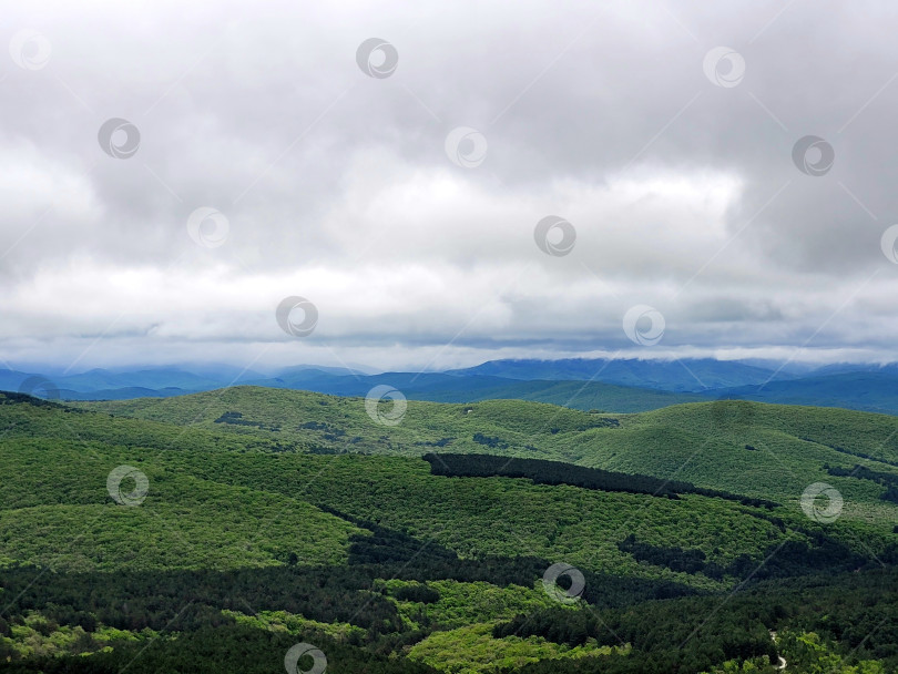 Скачать Крымские горы. Горный пейзаж. Лес фотосток Ozero