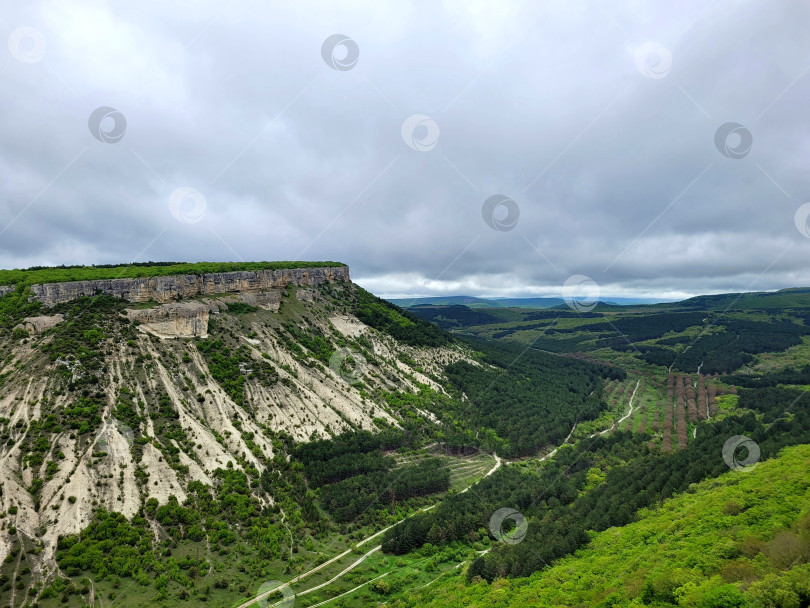 Скачать Крымские горы. Горный пейзаж. Лес фотосток Ozero