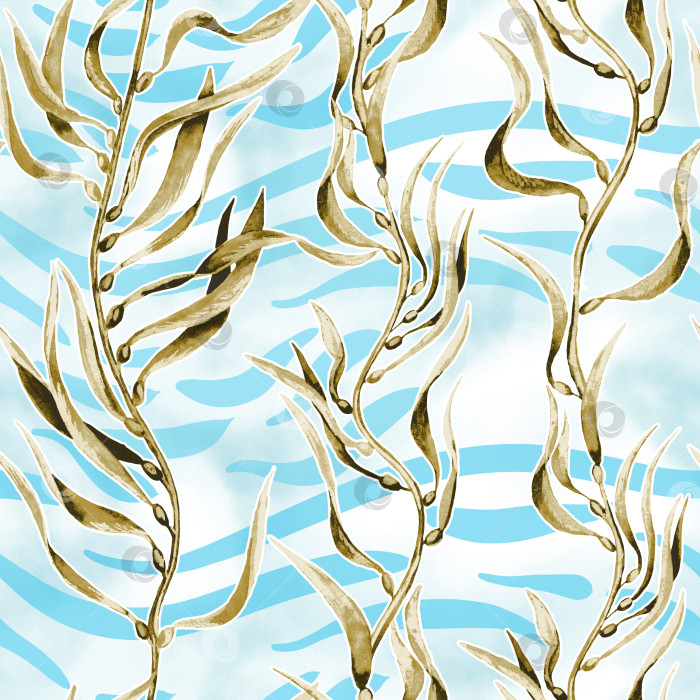 Скачать Бесшовный узор из морских водорослей. Нарисованные вручную акварелью растения с ботанической текстурой. фотосток Ozero