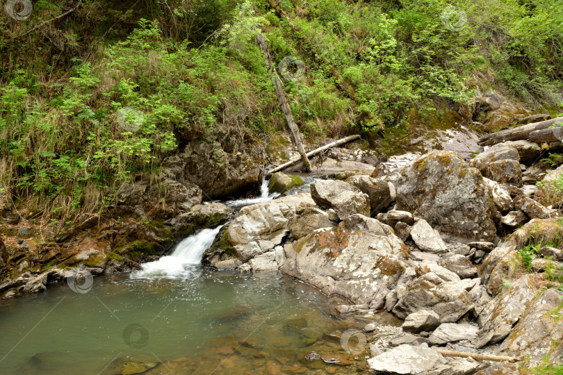 Скачать Каскад горной реки в скалистых берегах впадает в заводь в летнем лесу с поваленными деревьями. фотосток Ozero