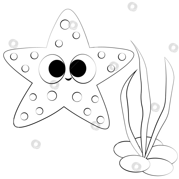 Скачать Милая мультяшная морская звезда. Нарисуйте иллюстрацию в черно-белом цвете фотосток Ozero