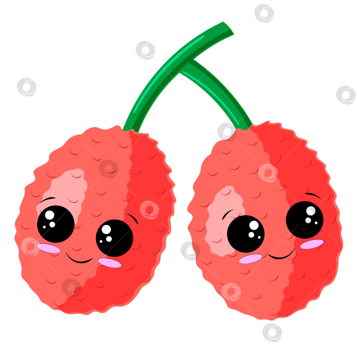 Скачать Милый мультфильм "счастливые два розовых фрукта личи" фотосток Ozero