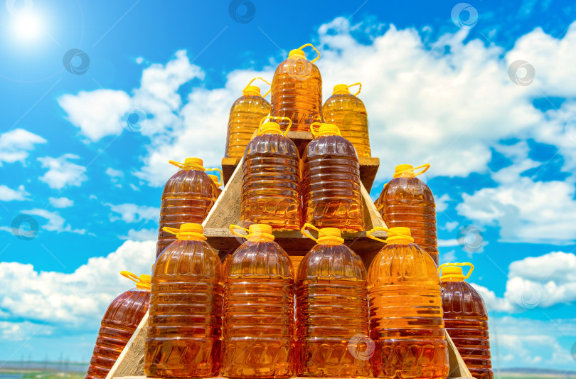Скачать Ряд бутылок со свежим подсолнечным маслом на фермерском рынке. Продажа натурального растительного или пальмового масла, кризис дефицита подсолнечного масла. фотосток Ozero