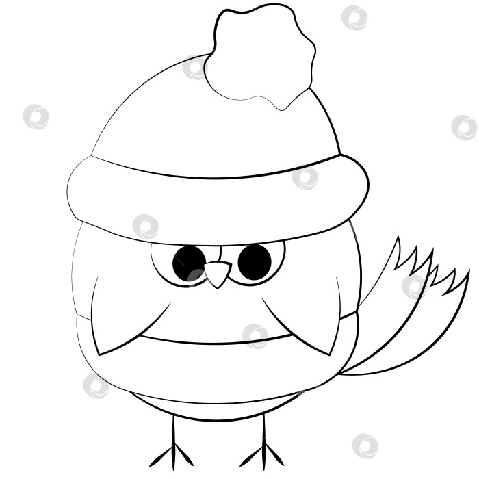 Скачать Милая мультяшная сова в зимней шапке и шарфе. Нарисуйте иллюстрацию в черно-белом цвете фотосток Ozero