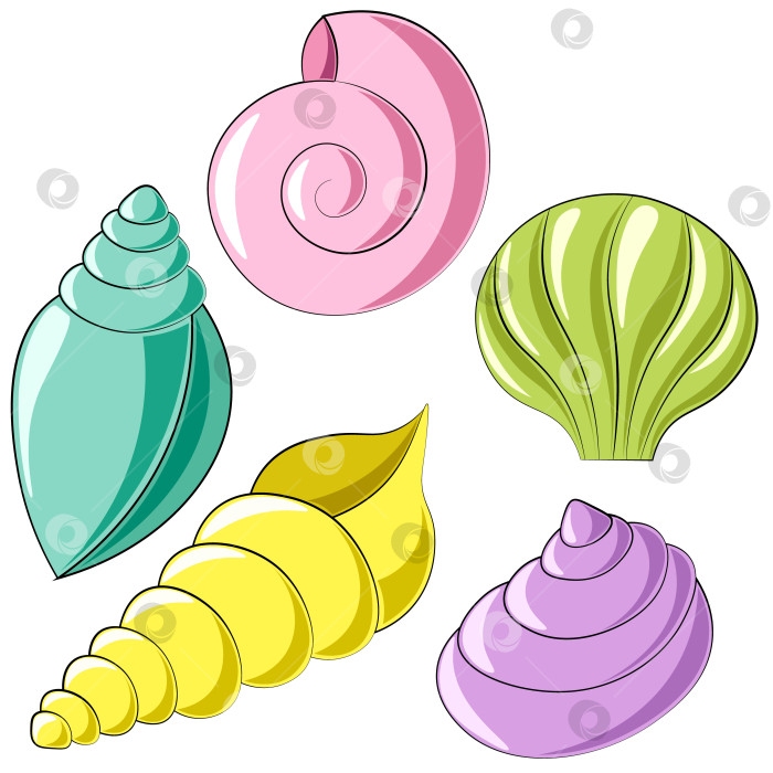 Скачать Mini set Seashells. Draw illustration in color фотосток Ozero