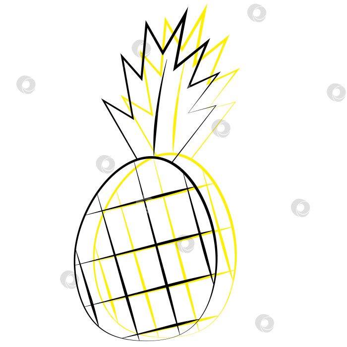 Скачать Single element Pineapple. Draw illustration in black and yellow фотосток Ozero