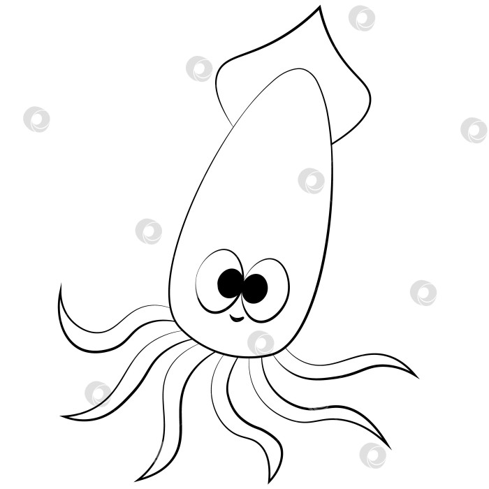 Скачать Cute cartoon Squid. Draw illustration in black and white фотосток Ozero