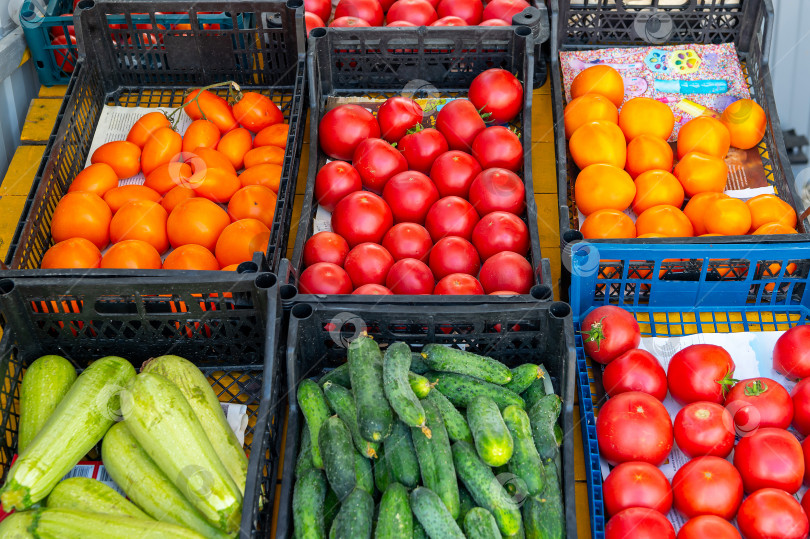 Скачать Свежие овощи на открытом фермерском рынке. Продажа полезных продуктов питания. Концепция сбора урожая. фотосток Ozero