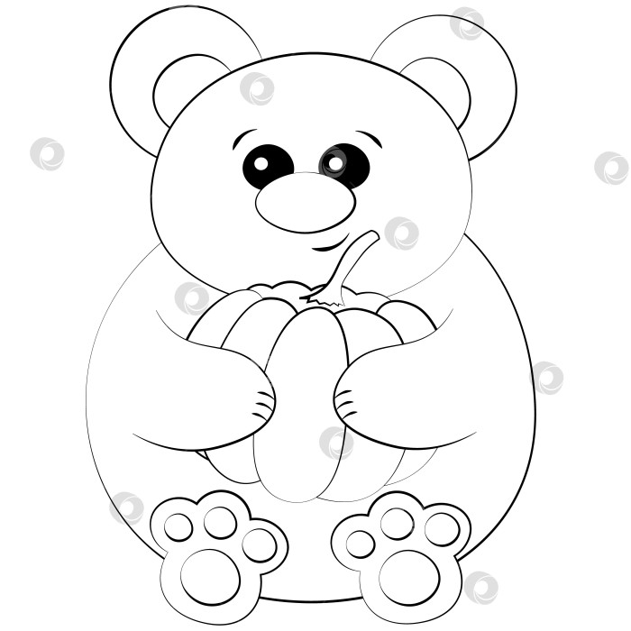 Скачать Cute cartoon Bear with Pumpkin. Draw illustration in black and white фотосток Ozero