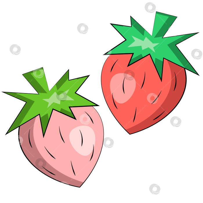 Скачать Single element Strawberry. Draw illustration in color фотосток Ozero