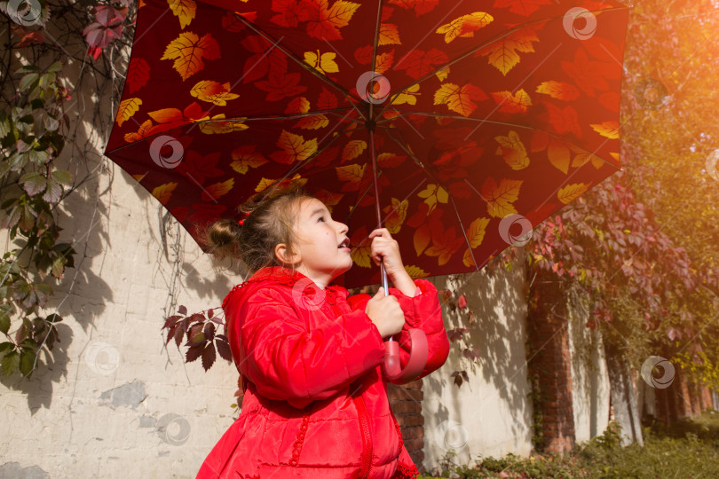 Скачать Маленькая девочка в красной куртке с капюшоном под зонтиком с орнаментом из осенних листьев в солнечную погоду наслаждается бабьим летом. Детские эмоции, пространство для текста фотосток Ozero