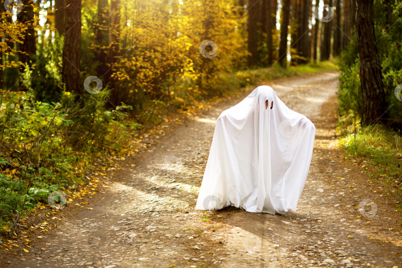 Скачать Ребенок в простынях с разрезами, похожий на костюм привидения в осеннем лесу, пугает и наводит ужас. Доброе маленькое привидение. Вечеринка в честь Хэллоуина фотосток Ozero