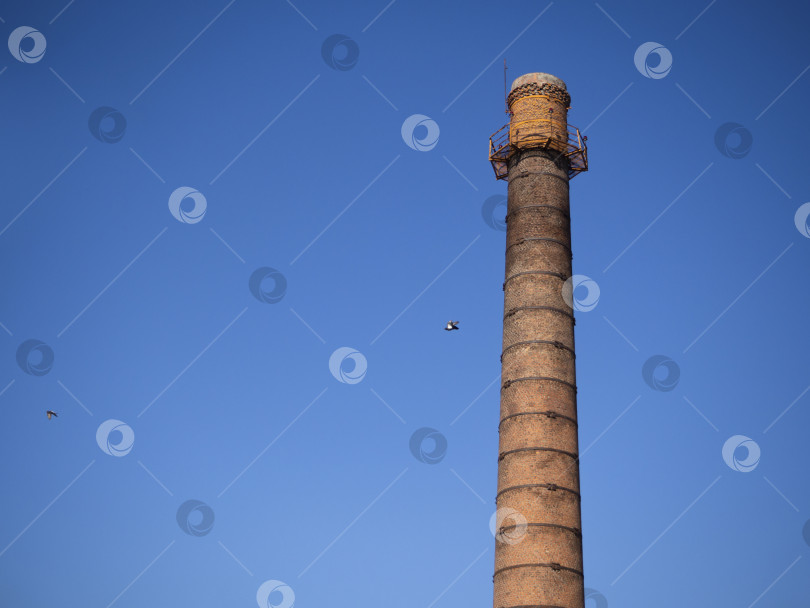 Скачать Старая промышленная труба на фоне голубого неба. фотосток Ozero