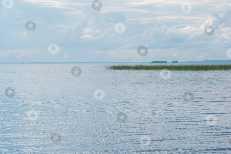 Скачать природный ландшафт, обширное мелководное озеро с заросшими тростником берегами в пасмурный день фотосток Ozero