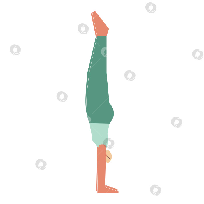 Скачать Vector isolated illustration with flat female character. Sportive woman learns Balancing posture Adho Mukha Vrksasana at yoga class. Fitness exercise - Handstand Pose фотосток Ozero
