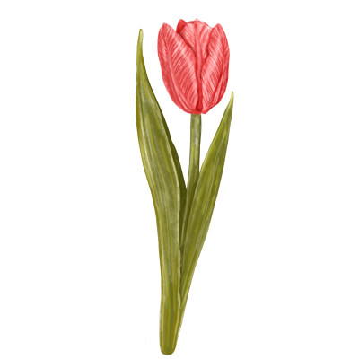[object Object] undefined