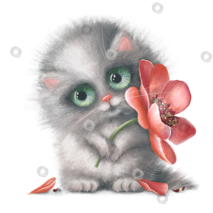 Скачать Cute fluffy adorable cat. Sweet funny kitten with big eyes. Portrait of lovely kitten with flower in paws. Colored illustration of pet for card, t-shirt, sticker. 8 march, i'm sorry, congratulations фотосток Ozero