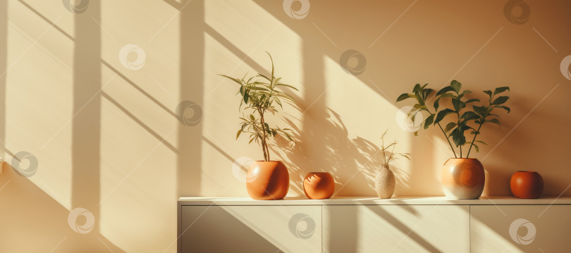 Скачать Растения в горшках на фоне светло-бежевой стены в лучах солнечного света от окна фотосток Ozero