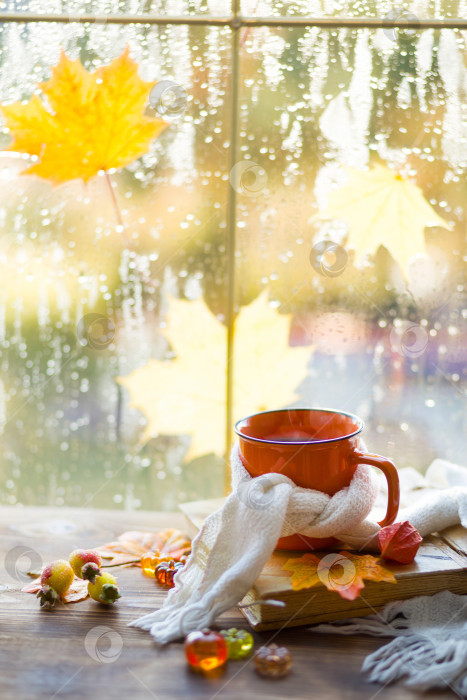 Скачать Оранжевая кружка в шарфе с горячим чаем, тыквы, желтые сухие кленовые листья, книга на подоконнике, капли дождя на окне - осеннее настроение фотосток Ozero