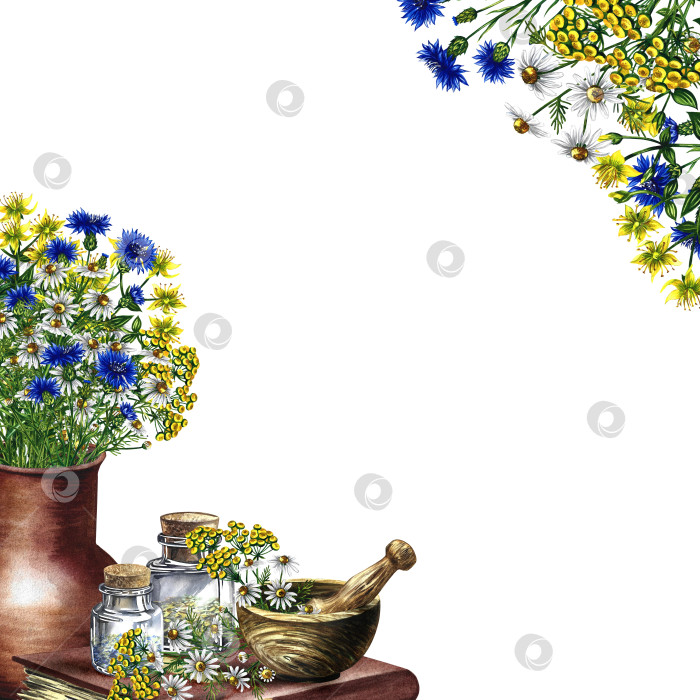 Скачать Frame with medicinal herbs, chamomile and tansy, cornflowers. Wildflowers in a pottery vase. Wooden mortar and glass vials on an old recipe book. Watercolor hand drawn illustration. фотосток Ozero