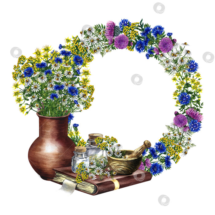 Скачать A wreath of wildflowers, medicinal herbs, chamomile and tansy, cornflowers and leuzea. Bouquet in a clay vase. Wooden mortar and glass vials on an old recipe book. Watercolor hand drawn illustration. фотосток Ozero