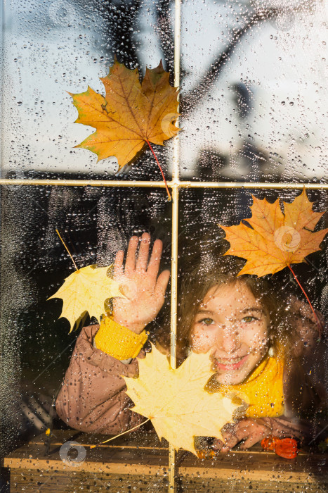 Скачать Ребенок смотрит из окна дома на улицу, осенняя погода, мокрое стекло с каплями после дождя, желтые кленовые листья, прилипшие к окну. Осеннее настроение, домашний уют фотосток Ozero