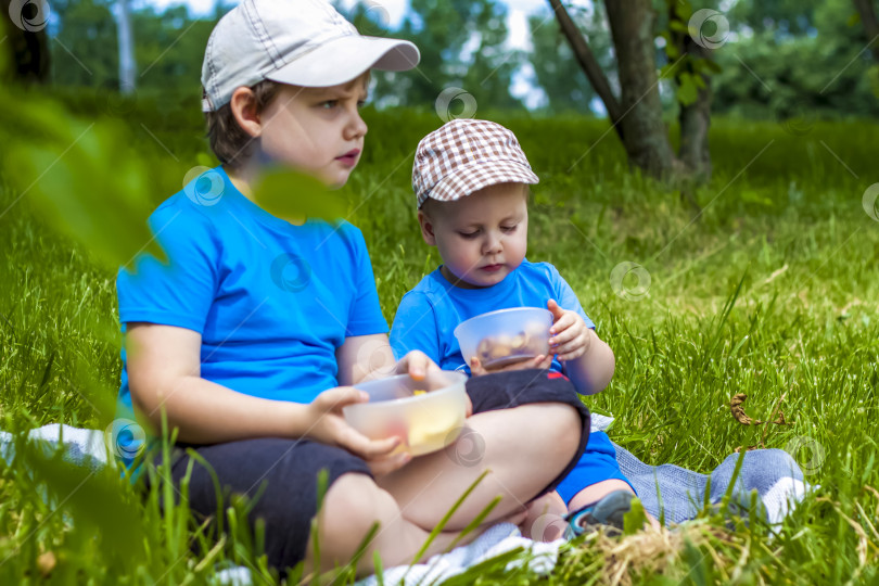 Скачать Лето и теплый день. Дети на пикнике сидят на одеяле и едят фрукты с тарелки. Живые эмоции ребят. фотосток Ozero