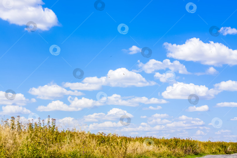 Скачать Сельский пейзаж с прекрасным небом и полем. фотосток Ozero