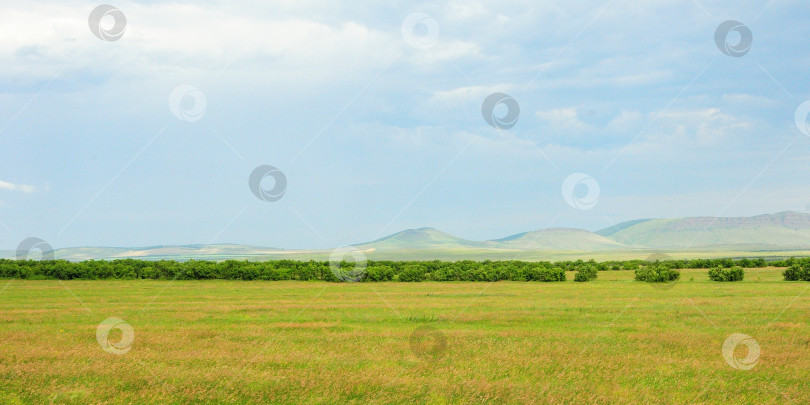Скачать Панорамный снимок широкой поляны с грядой густого леса и длинной грядой холмов в бескрайней степи на заднем плане. фотосток Ozero