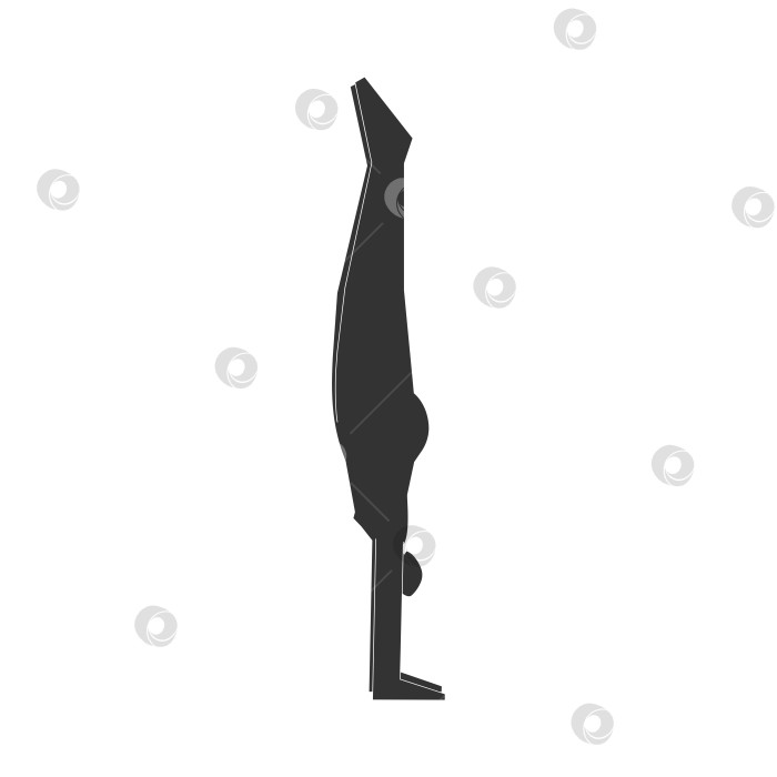 Скачать Vector isolated illustration with flat black silhouette of female character. Sportive woman learns yoga posture Adho Mukha Vrksasana. Fitness exercise - Handstand Pose. Minimalistic design фотосток Ozero