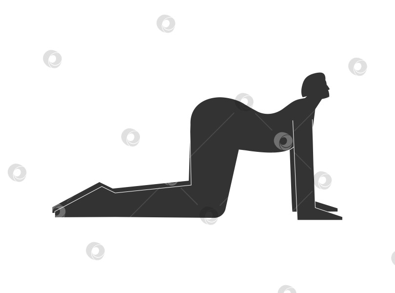 Скачать Vector isolated illustration with flat black silhouette of female person doing finess. Athletic woman learns yoga posture Bitilasana. Sportive exercise - Cow Pose фотосток Ozero