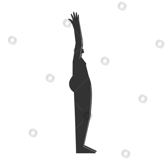 Скачать Vector isolated illustration with flat black profile of female person doing finess. Athletic woman learns yoga posture Urdhva Hastasana. Sportive exercise - Upward Salute Pose фотосток Ozero