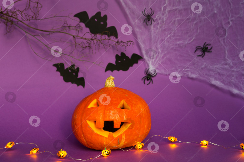 Скачать Хэллоуин фоны из натуральной тыквы Джека фонаря, пауков и черных летучих мышей на фиолетовом фоне с ужасными пейзажами. Ужас и страшный праздник с копировальным пространством фотосток Ozero