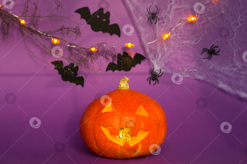 Скачать Хэллоуин фоны из натуральной тыквы Джека фонаря, пауков и черных летучих мышей на фиолетовом фоне с ужасными пейзажами. Ужас и страшный праздник с копировальным пространством фотосток Ozero
