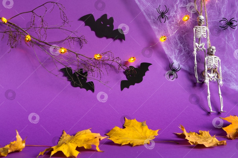 Скачать Макет хэллоуинской гирлянды из скелета на веревке, светящегося фонаря "Джек о", тыкв, пауков на фиолетовом фоне. В квартире царил ужас и ужасный праздник фотосток Ozero