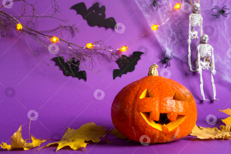 Скачать Фоны Хэллоуина с тыквой Джека фонаря, паутиной, скелетом на веревке, пауками и черными летучими мышами на фиолетовом фоне с ужасными пейзажами. Ужас и страшный праздник с копировальным пространством фотосток Ozero
