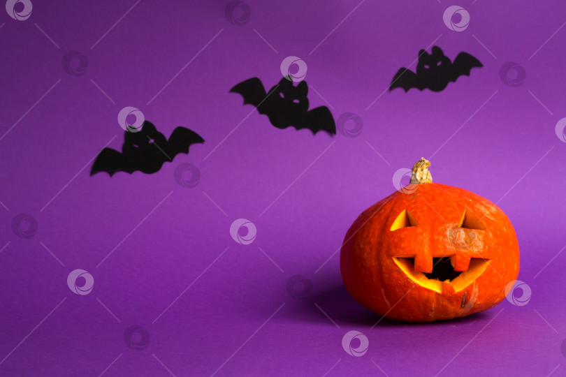 Скачать Хэллоуин-фоны из натуральной тыквы Джека фонаря, пауков и черных летучих мышей на фиолетовом фоне с ужасными пейзажами. Ужас и страшный праздник с копировальным пространством фотосток Ozero