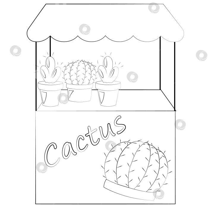 Скачать Прилавок киоска с кактусами. Нарисуйте иллюстрацию в черно-белом цвете фотосток Ozero