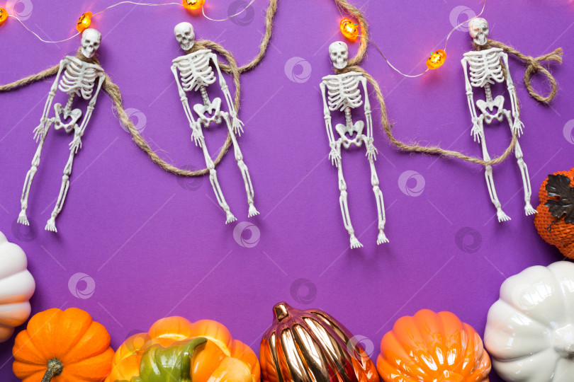 Скачать Макет хэллоуинской гирлянды из скелета на веревке, светящегося фонаря Jack o, тыкв, пауков на фиолетовом фоне. В квартире лежал ужас и ужасный праздник фотосток Ozero