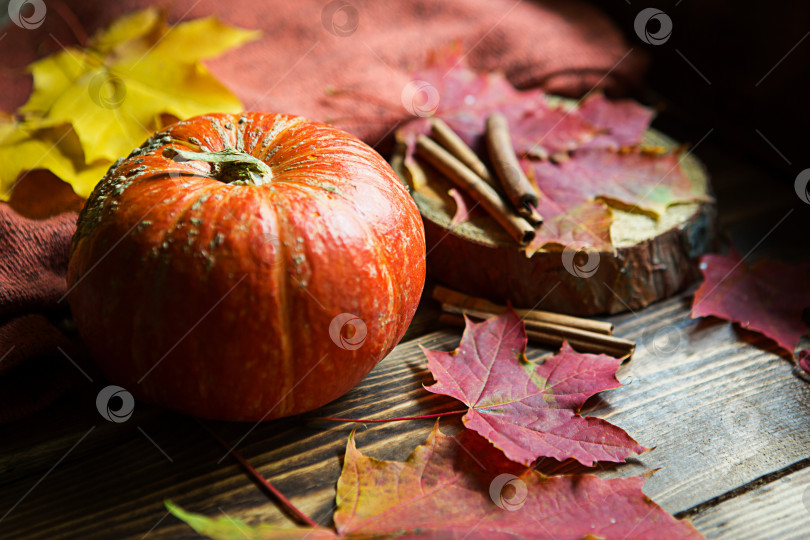Скачать Оранжевая натуральная круглая тыква на деревянном столе с опавшими желтыми и красными кленовыми листьями, палочками корицы. Гирлянды огней, теплая осенняя атмосфера, день благодарения, праздник урожая, Хэллоуин. Пространство для копирования фотосток Ozero
