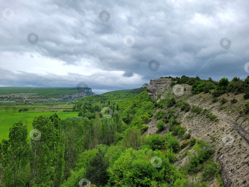 Скачать Крымские горы. Горный пейзаж. Лес фотосток Ozero